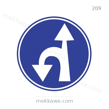 شاخصة المرور رقم 209