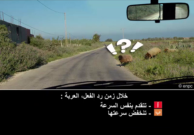 العربات والسواق والميكانيك (صنف ب)
